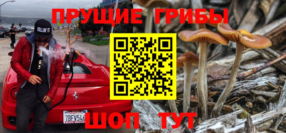 цены наркотик  Вход с VPN  Псилоцибиновые грибы прущие грибы  Сорочинск  Псилоцибиновые грибы GOLDEN TEACHER 
