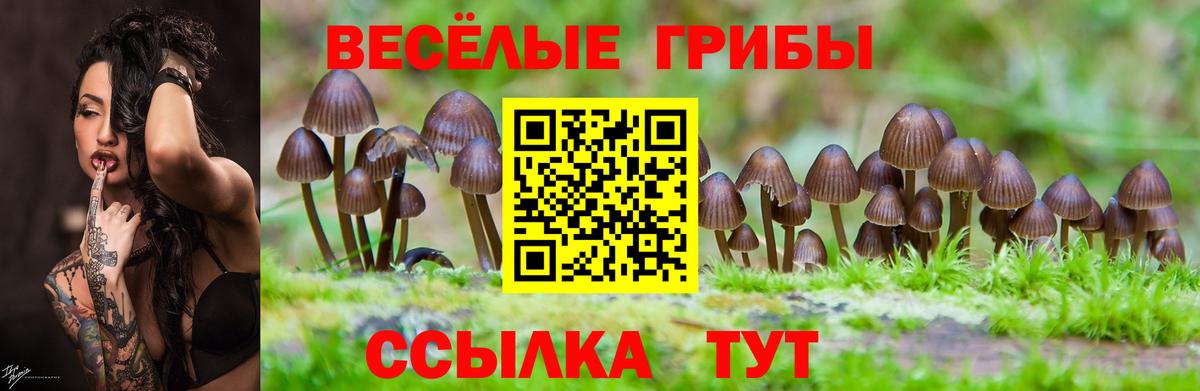 Псилоцибиновые грибы мицелий Сорочинск